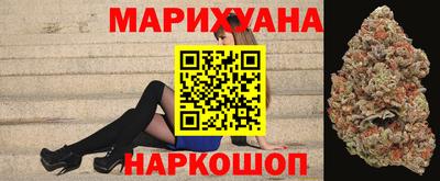 сатива Новозыбков