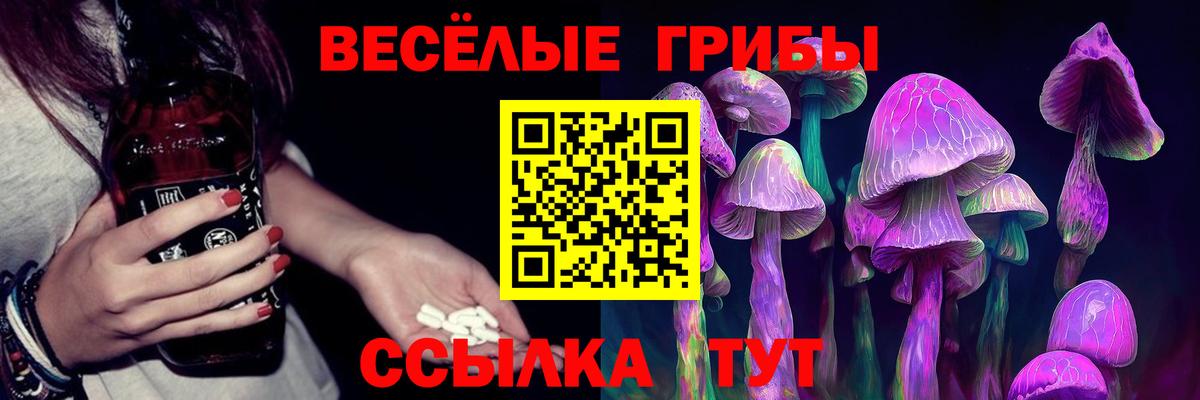 Псилоцибиновые грибы MAGIC MUSHROOMS  Вход с VPN  дарнет шоп  Топки 
